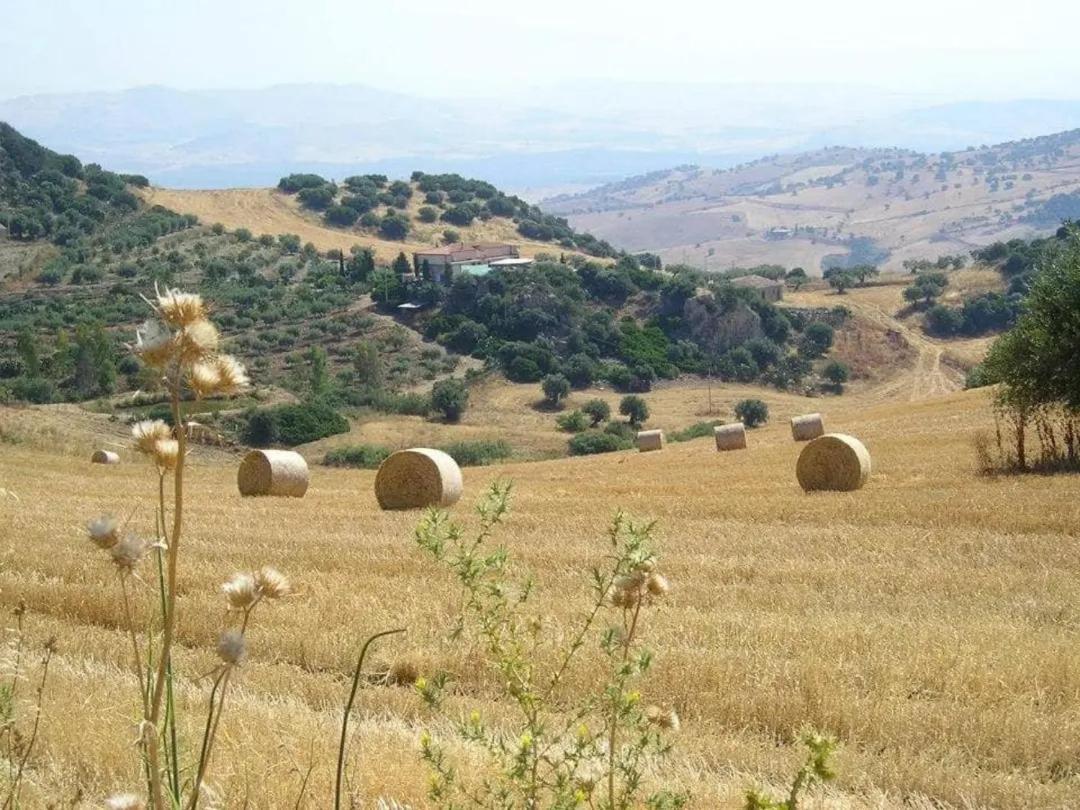 "San Placido Green House" Villa Con Piscina Castel di Iudica Dış mekan fotoğraf