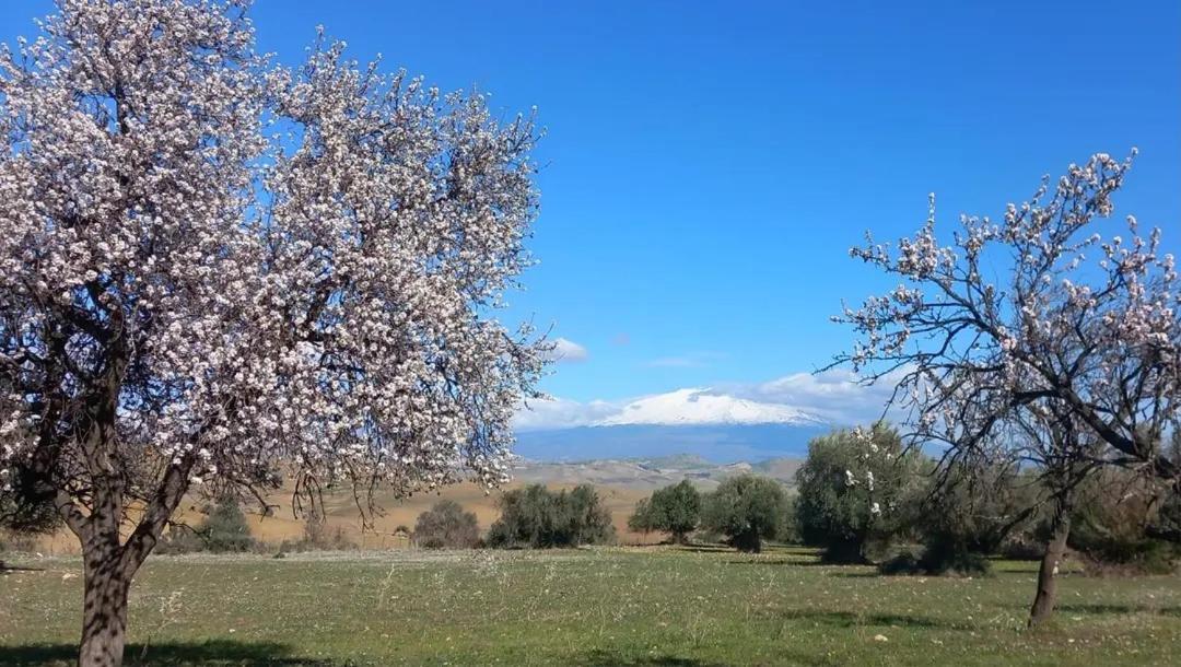 "San Placido Green House" Villa Con Piscina Castel di Iudica Dış mekan fotoğraf